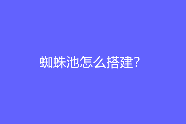 蜘蛛池怎么搭建？