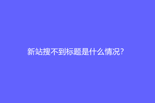 新站搜不到标题是什么情况？(新网站搜索不到)