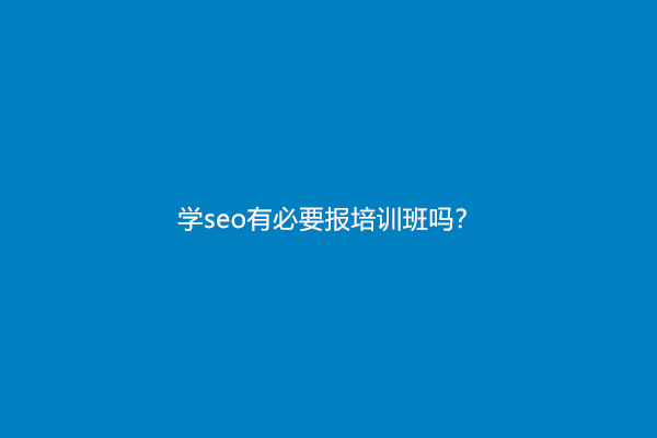 学seo有必要报培训班吗？