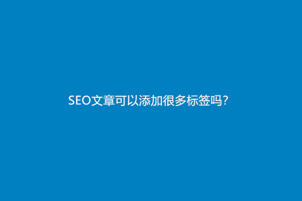 SEO文章可以添加很多标签吗？